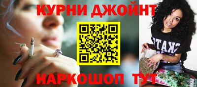 стафф Шелехов