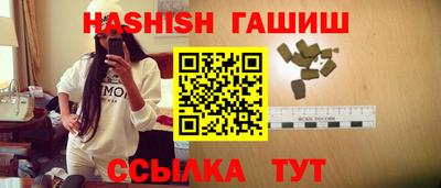стафф Шелехов