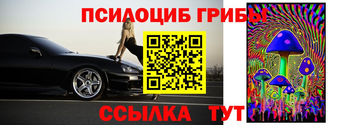 Галлюциногенные грибы Cubensis Клинцы